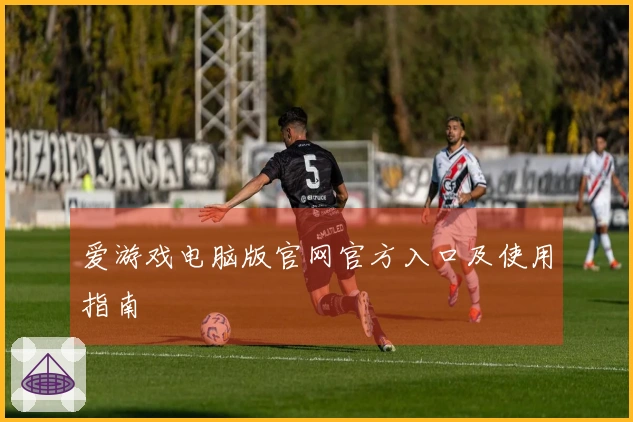 爱游戏电脑版官网官方入口及使用指南