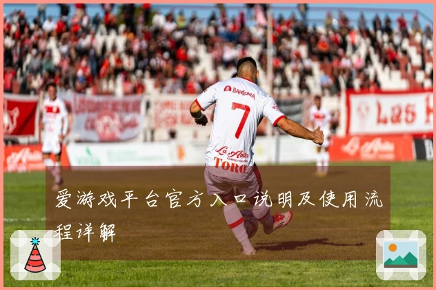 爱游戏平台官方入口说明及使用流程详解